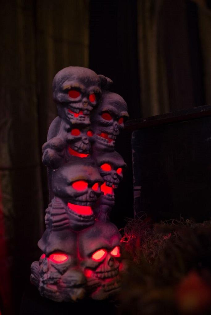 Skull Decoration