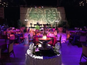 Themed Event Setting
